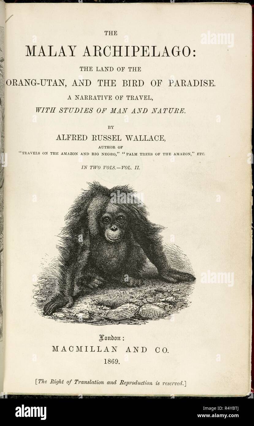 Titlepage with illustration of an orangutan. The Malay Archipelago: the land of the Orang-Utan, and the Bird of Paradise. A narrative of travel, with studies of man and nature. London, 1869. Source: 10057.aaa.28 title page. Language: English. Author: WALLACE, ALFRED RUSSEL. Stock Photo