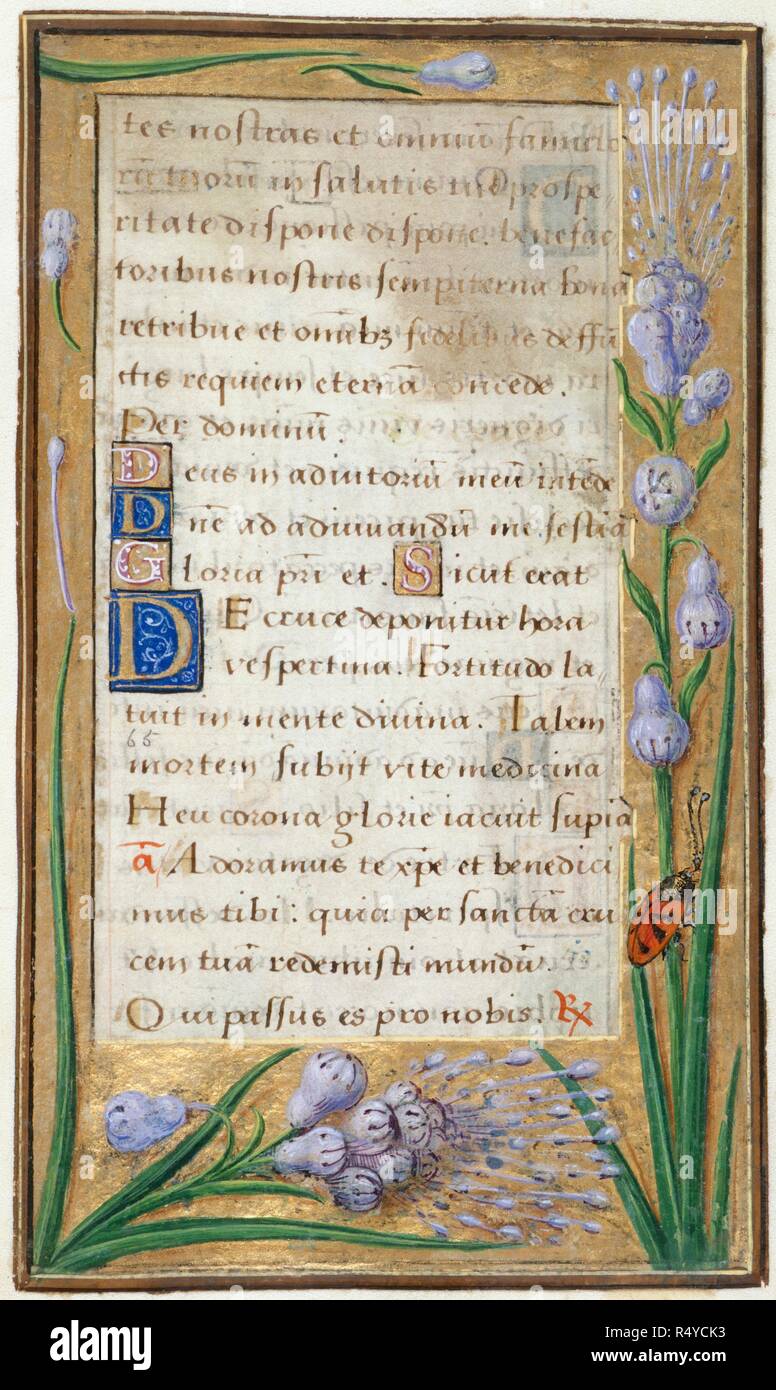 Office of the Holy Cross. Book of Hours. France; circa 1500. [Whole folio]  Office of the Holy Cross at Vespers. Borders with trompe l'oeil decoration  including bluebells and a ladybird Image taken