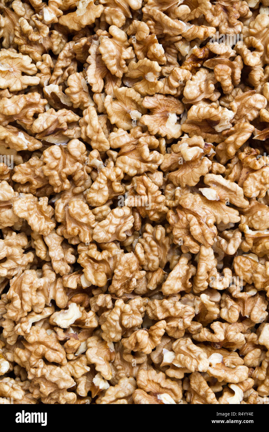 A walnut is the nut of any tree of the genus Juglans (Family Juglandaceae), particularly the Persian or English walnut, Juglans regia. Stock Photo