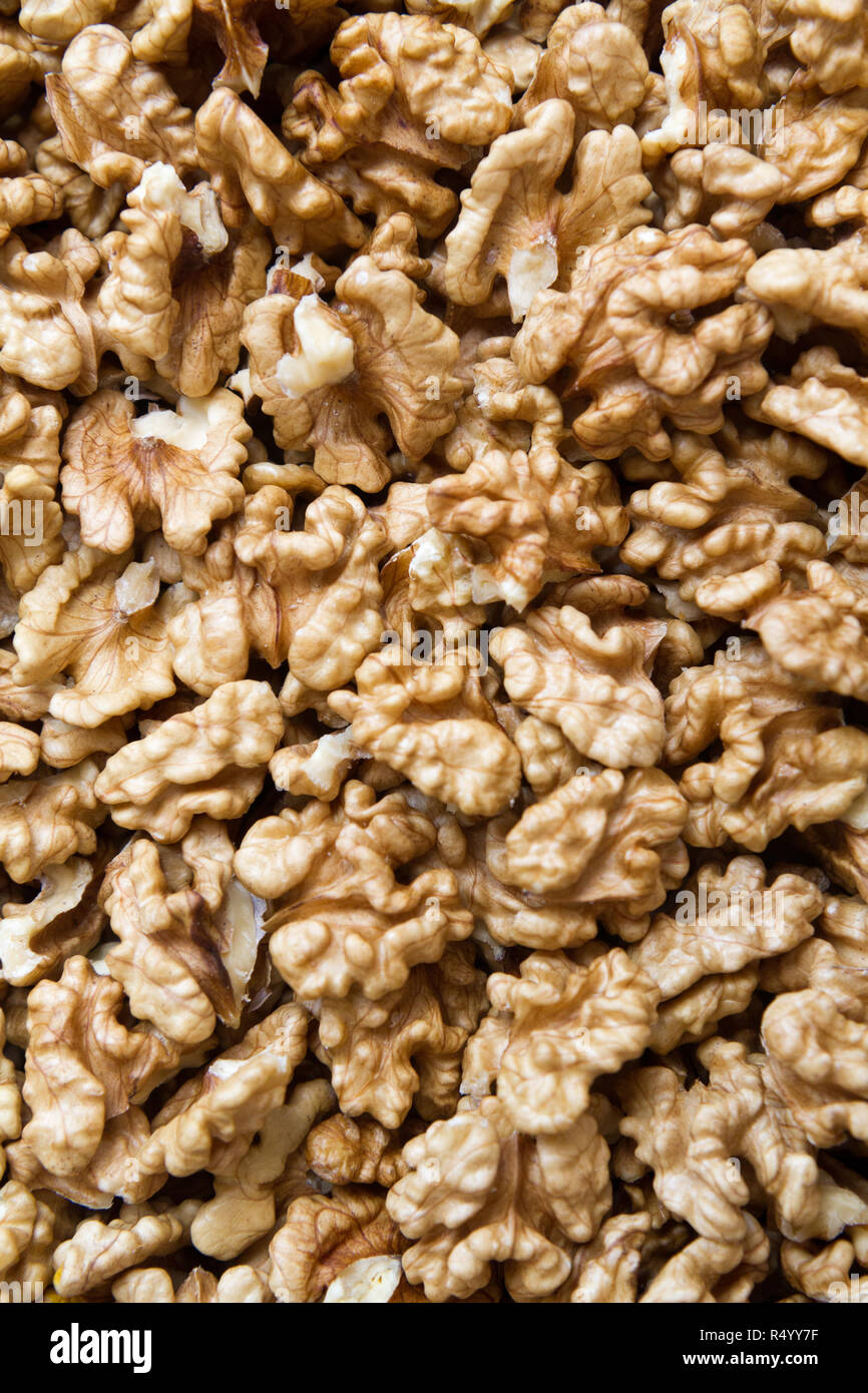 Juglandaceae hi-res stock photography and images - Alamy