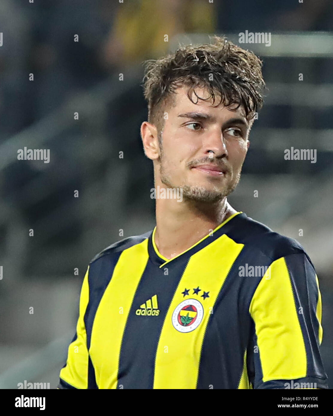 Roman Neustädter of Fenerbahce SK during the Ziraat Turkish Cup match  Photo d'actualité - Getty Images