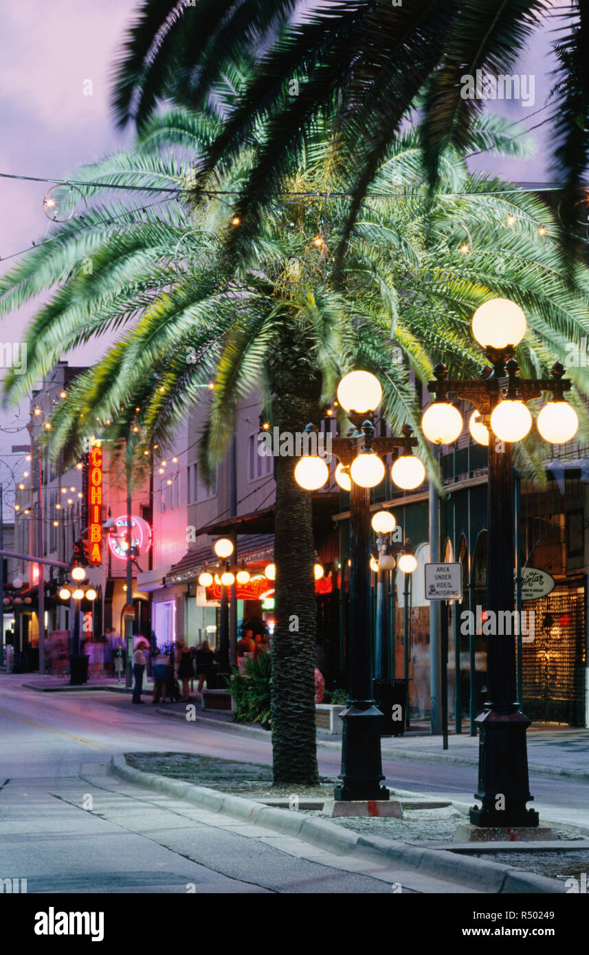 Street lamps and Palm Trees at night in Ybor City, Tampa, Florida, USA