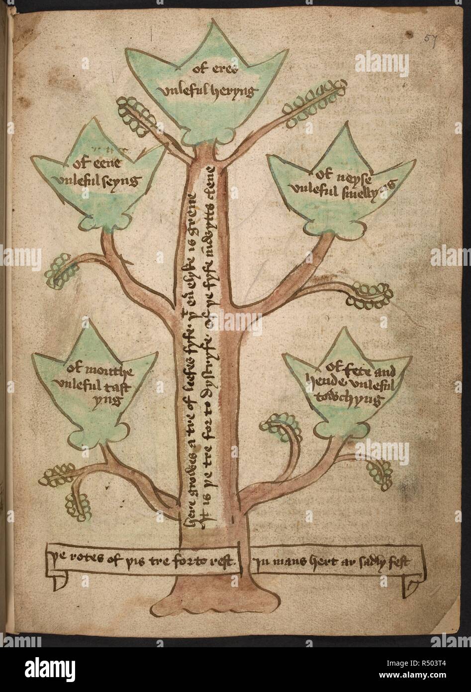 An illustration of a tree with text written on the leaves. The healthy ...