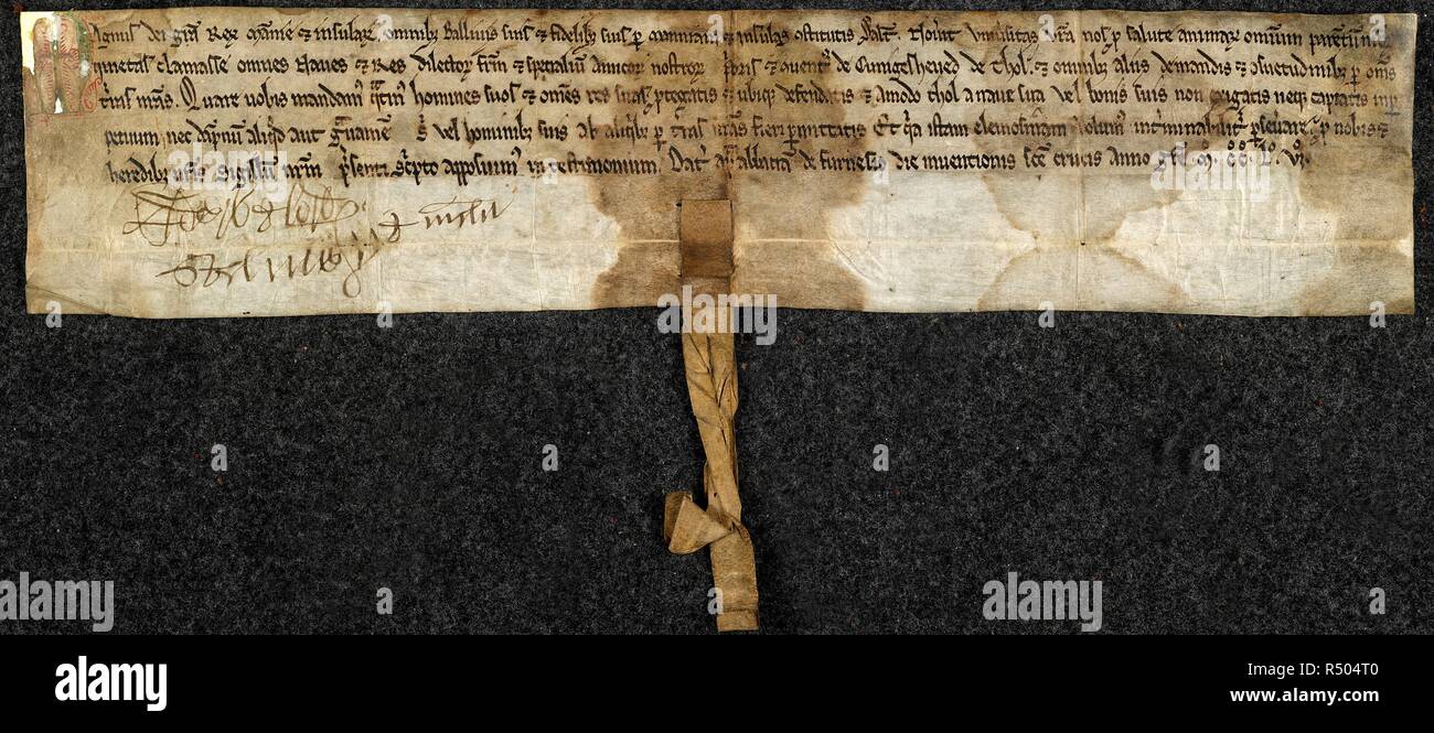 Charter of Magnus, King of Man. England [Furness Abbey]; 1256. [Whole charter] Charter of Magnus Olafson, King of Man, releasing Conishead Priory from paying toll in the Isle of Man  Originally published/produced in England [Furness Abbey]; 1256. . Source: Harley Charter 43 A 70,. Language: Latin. Stock Photo
