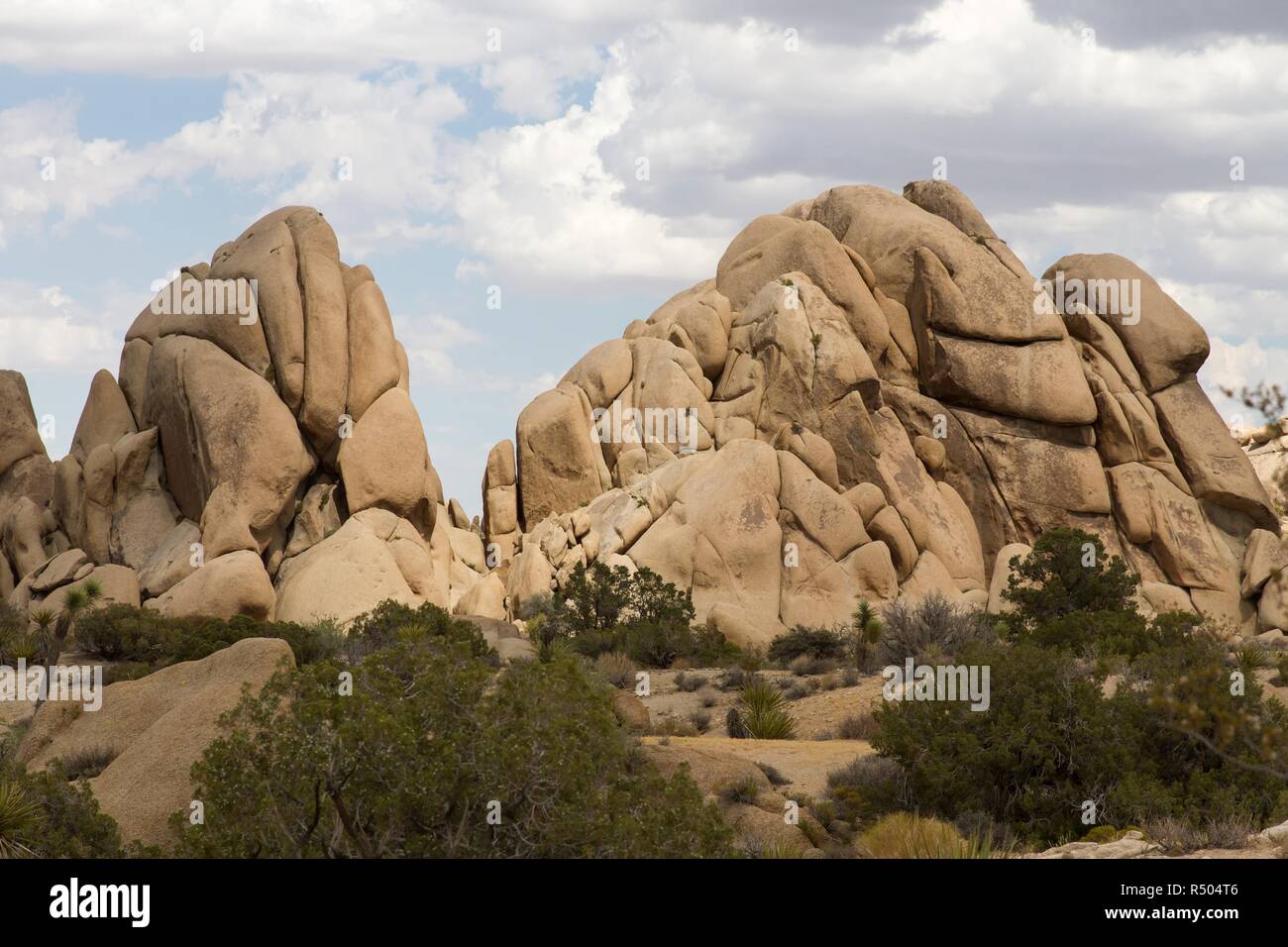 Jumbo Rocks 17 Stock Photo - Alamy