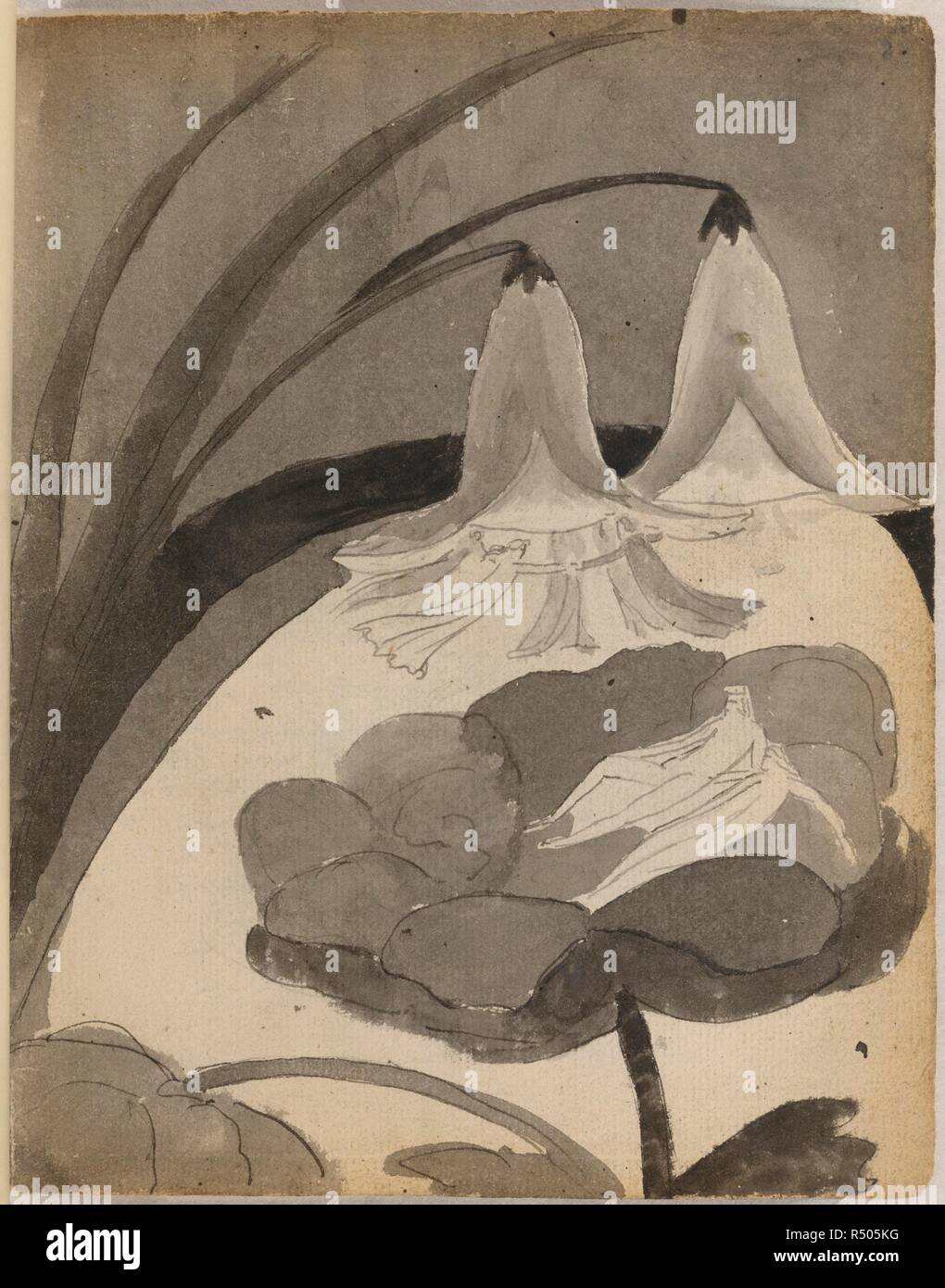 Titania and oberon hires stock photography and images Alamy