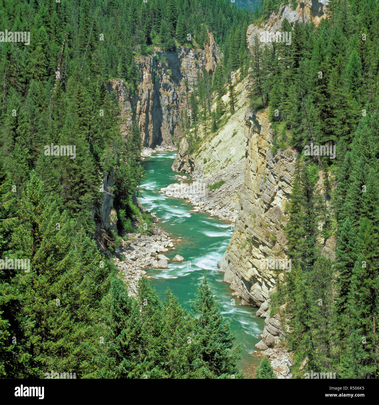 south fork flathead river in canyon above hungry horse reservoir, montana Stock Photo