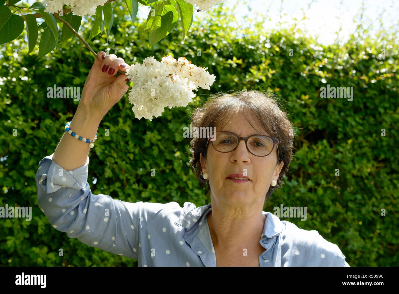 senior woman in her garden with flowers Stock Photo - Alamy