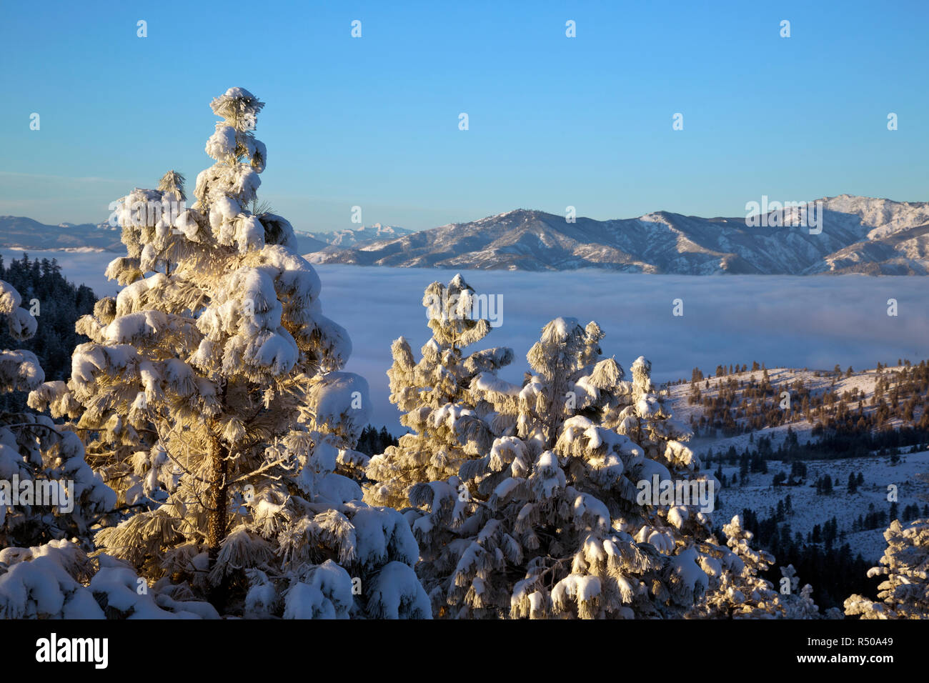 WA15370-00...WASHINGTON - The Chelan Mountains rising above the fog shrouded Lake Chalen from the Echo Ridge Nordic area in the Okanogan-Wenatchee Nat Stock Photo