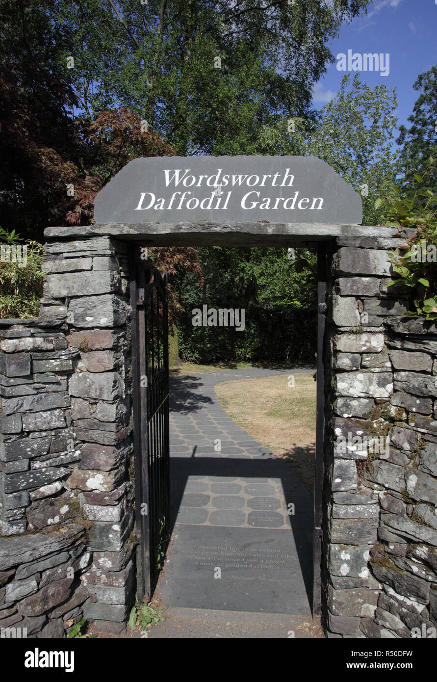 Wordsworth daffodil garden Grasmere Cumbria Stock Photo Alamy