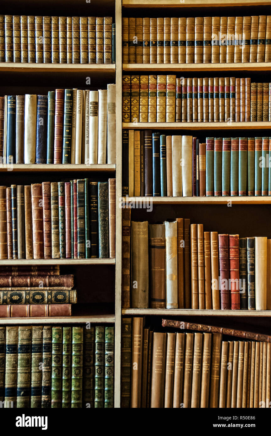 Close Up Of Books In A Bookcase In A Library Of Books Stock