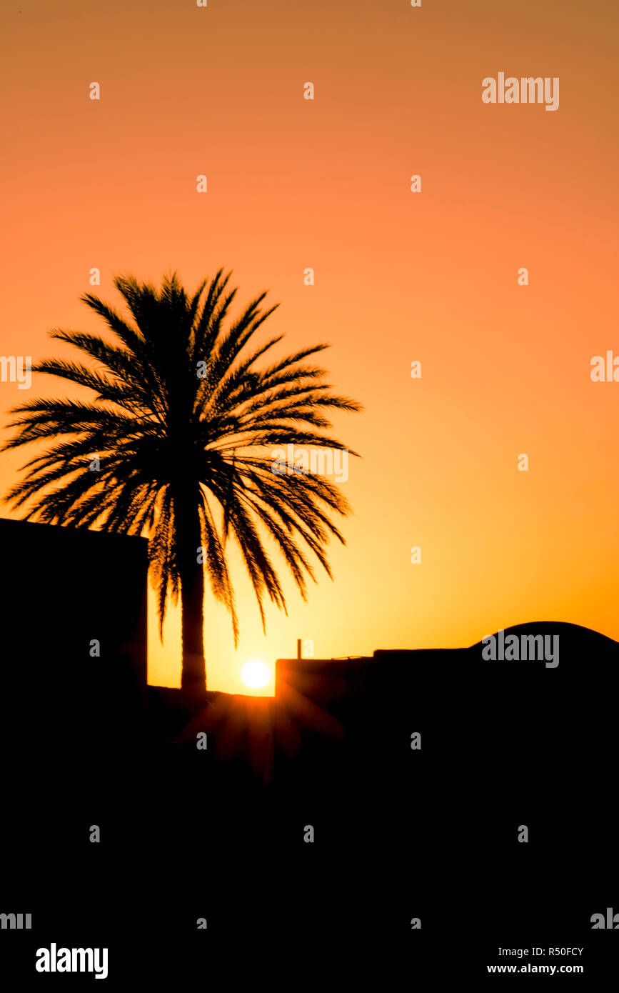 Sunset at Tracino village against a Palm tree  and typical roof of a dammuso, island of Pantelleria, Sicily, Italy Stock Photo