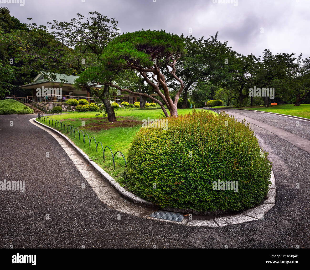 My Image 14