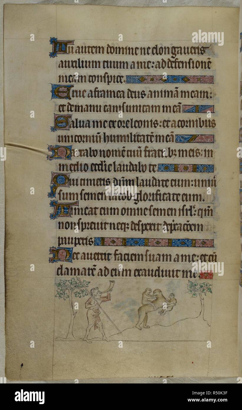 Bas-de-page scene of a mother ape being pursued by a hunter, blowing a horn and carrying a spear. According to legend, she will carry her favourite child in her arms and her less favourite on her back, but will likely drop the favourite when pursued. Psalter ('The Queen Mary Psalter'). England (London/Westminster or East Anglia?); between 1310 and 1320. Source: Royal 2 B. VII, f.107v. Language: Latin, with French image captions. Stock Photo