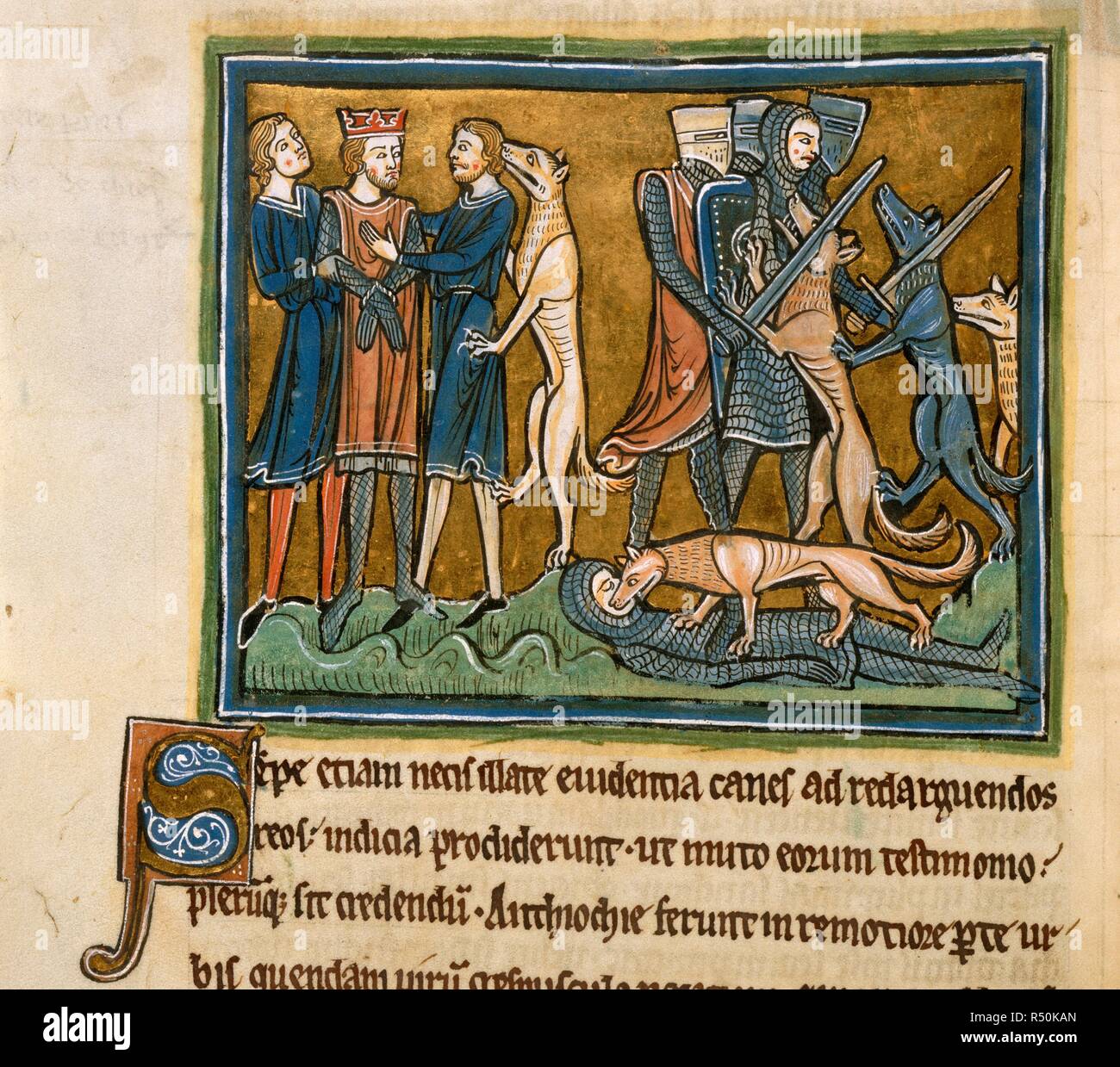 Garamantes rescued by dogs. Rochester Bestiary. S. England; circa 1230. (Miniature only) King Garamantes, kidnapped and threatened with being sold into slavery, is rescued by his pack of two hundred dogs, who attack the king's captors.  Image taken from Rochester Bestiary.  Originally published/produced in S. England; circa 1230. . Source: Royal 12 F. XIII, f.30v. Language: Latin. Stock Photo