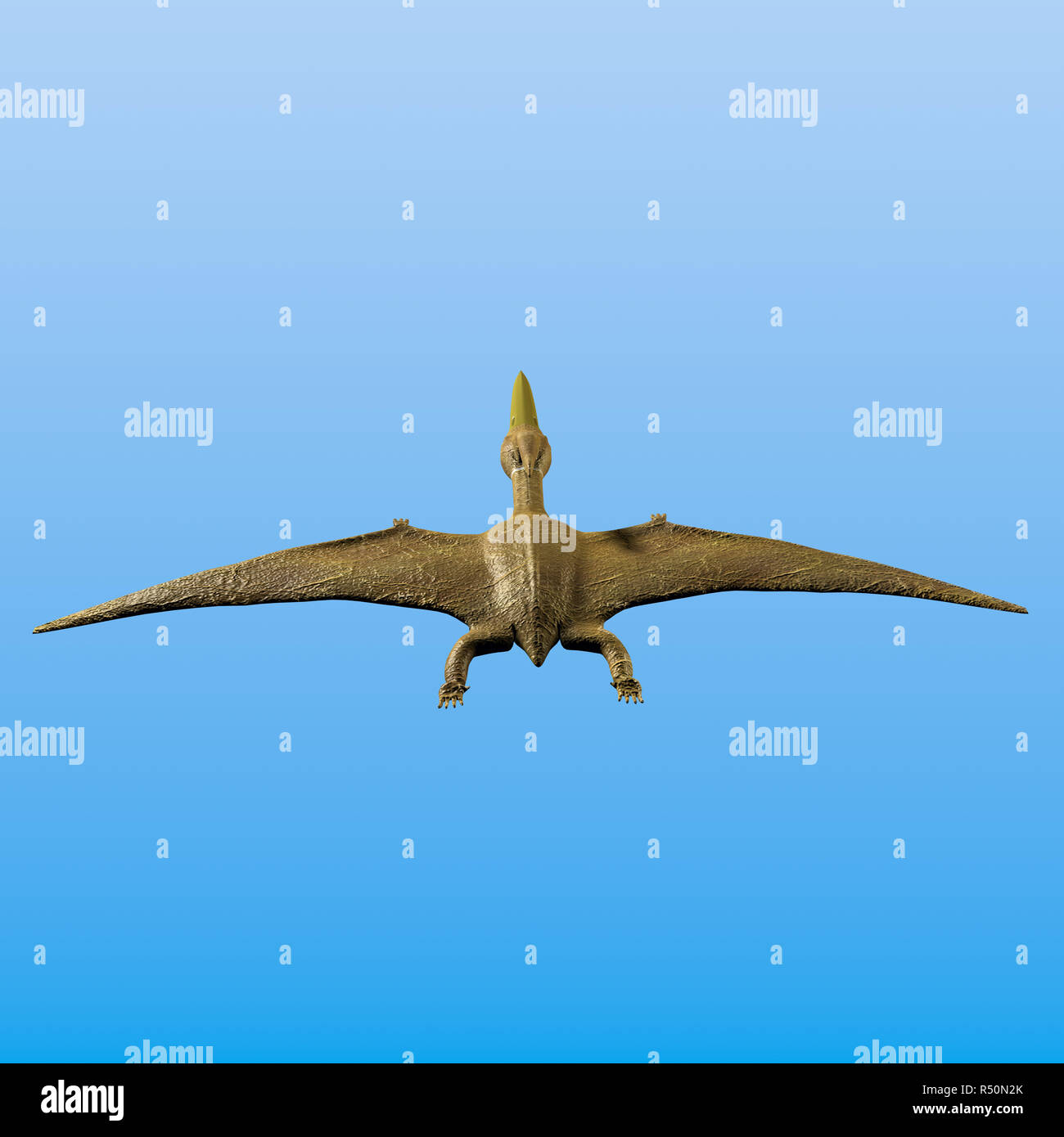 pteranodon sarier in flight Stock Photo