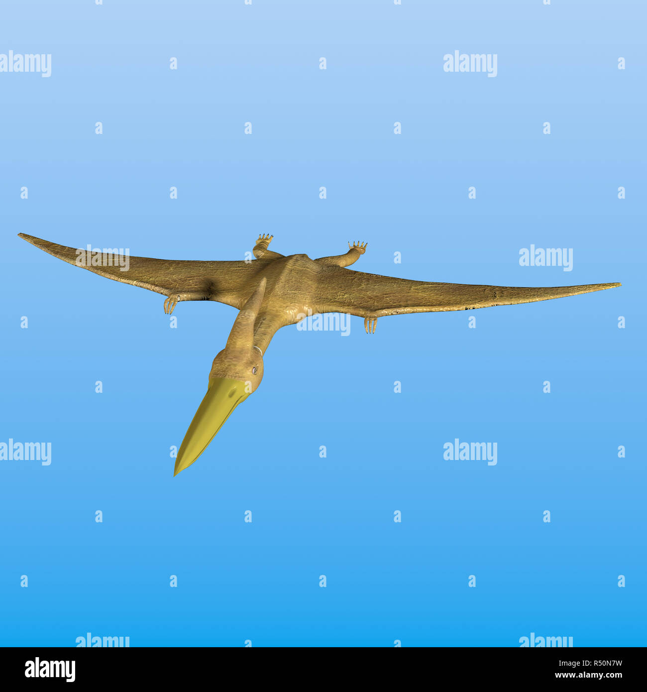 My Image 27