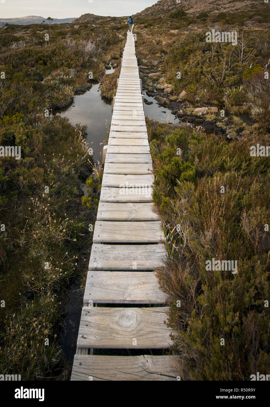 timber long track, long way concept, your path concept Stock Photo