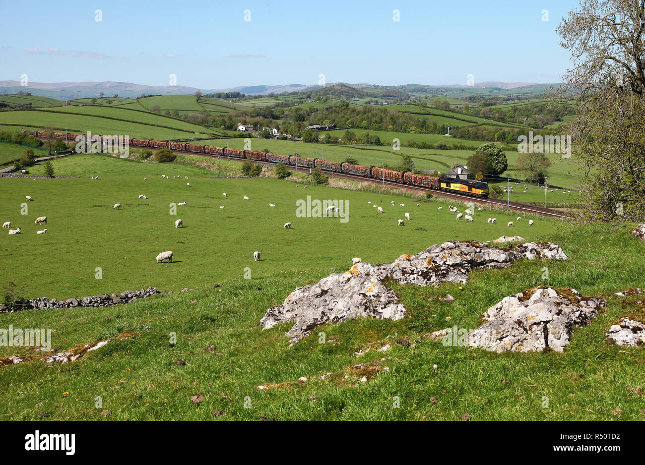 Colas 60085 heads past Hincaster with 6J37 Carlisle to Chirk log train on 14.5.18 Stock Photo