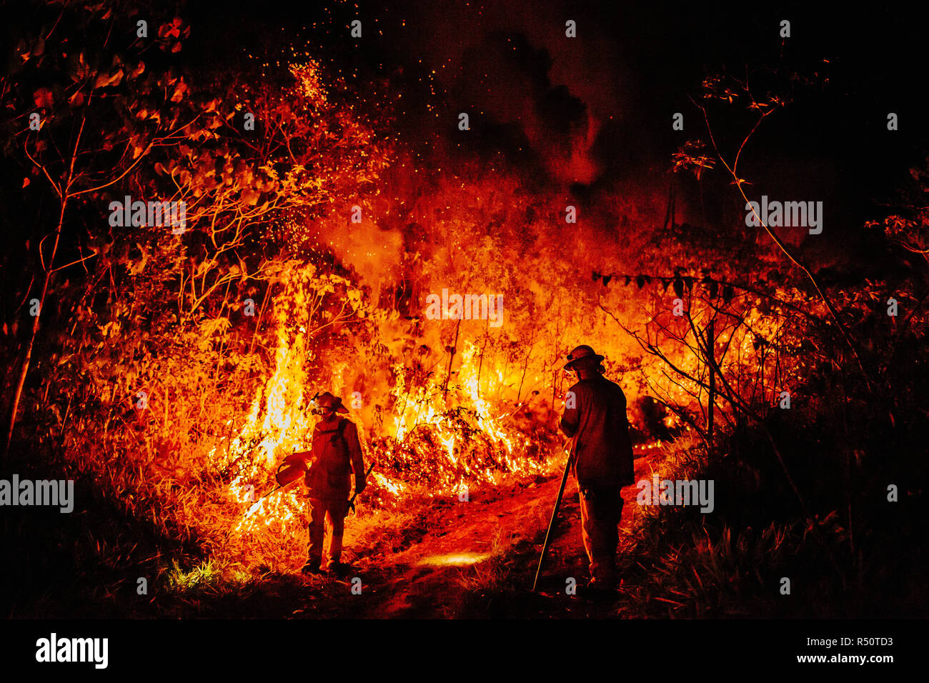 View of two firefighters during forest fire, Guanaba, Queensland, Australia Stock Photo