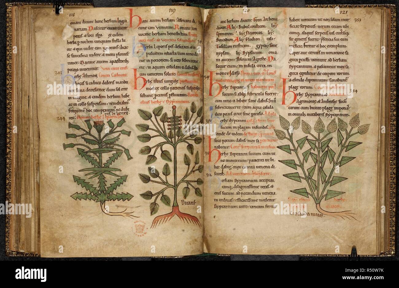 Page 3 Language Of Flowers Book High Resolution Stock Photography And Images Alamy