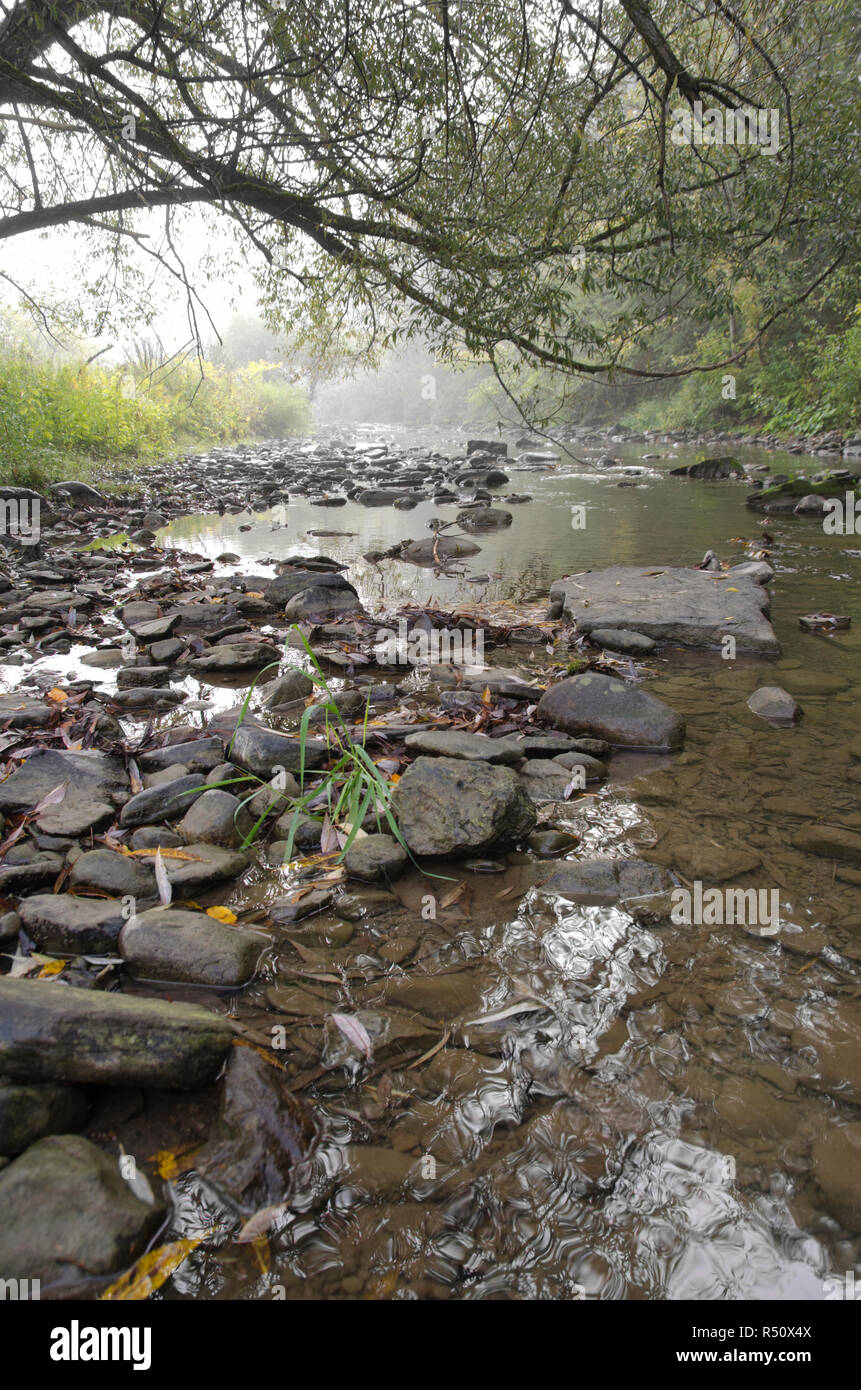 View of a rocky riverbed Stock Photo