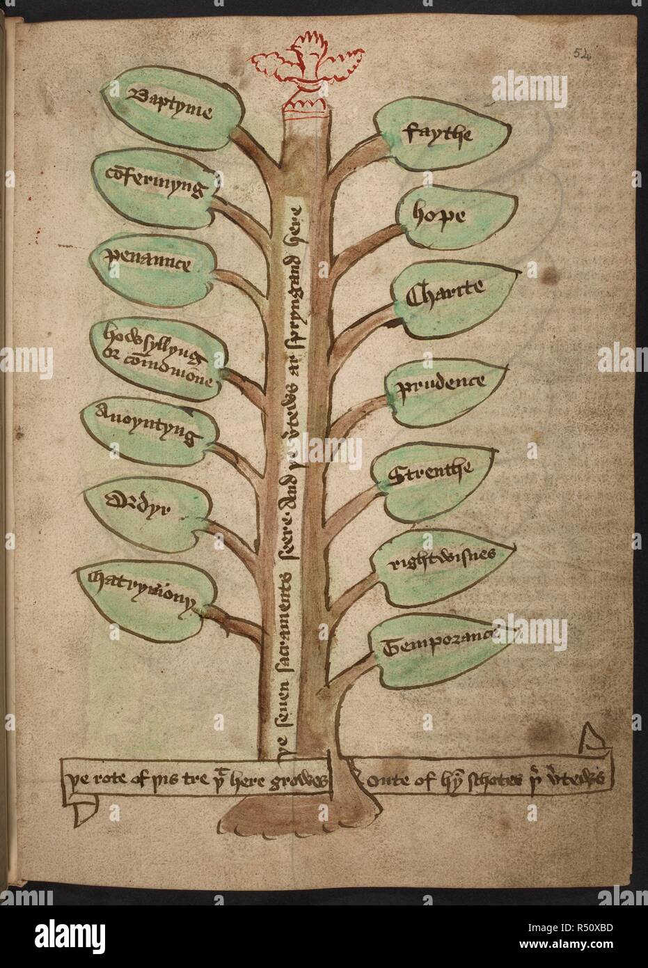 An illustration of a tree with text written on the leaves. The healthy ...