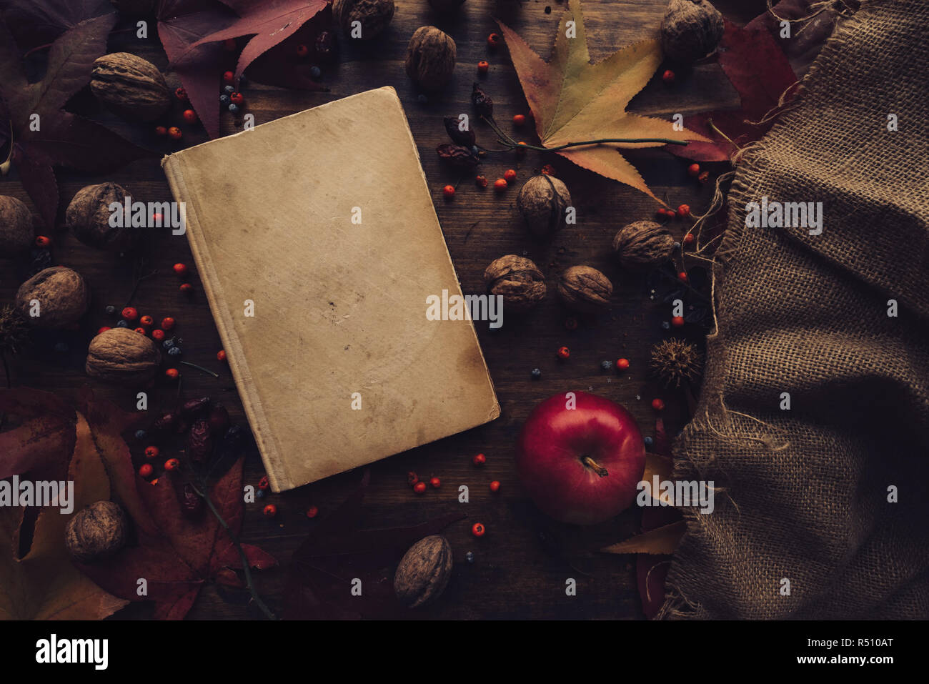 Flat lay top view vintage book with autumn decoration on the table, nostalgic retro toned image Stock Photo