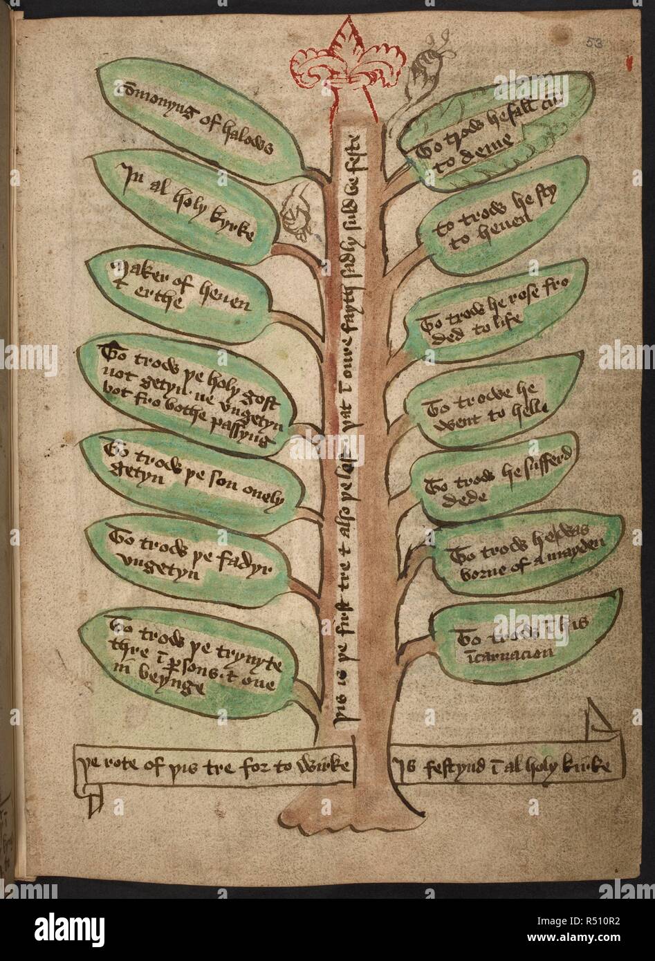 An illustration of a tree with text written on the leaves. The healthy ...