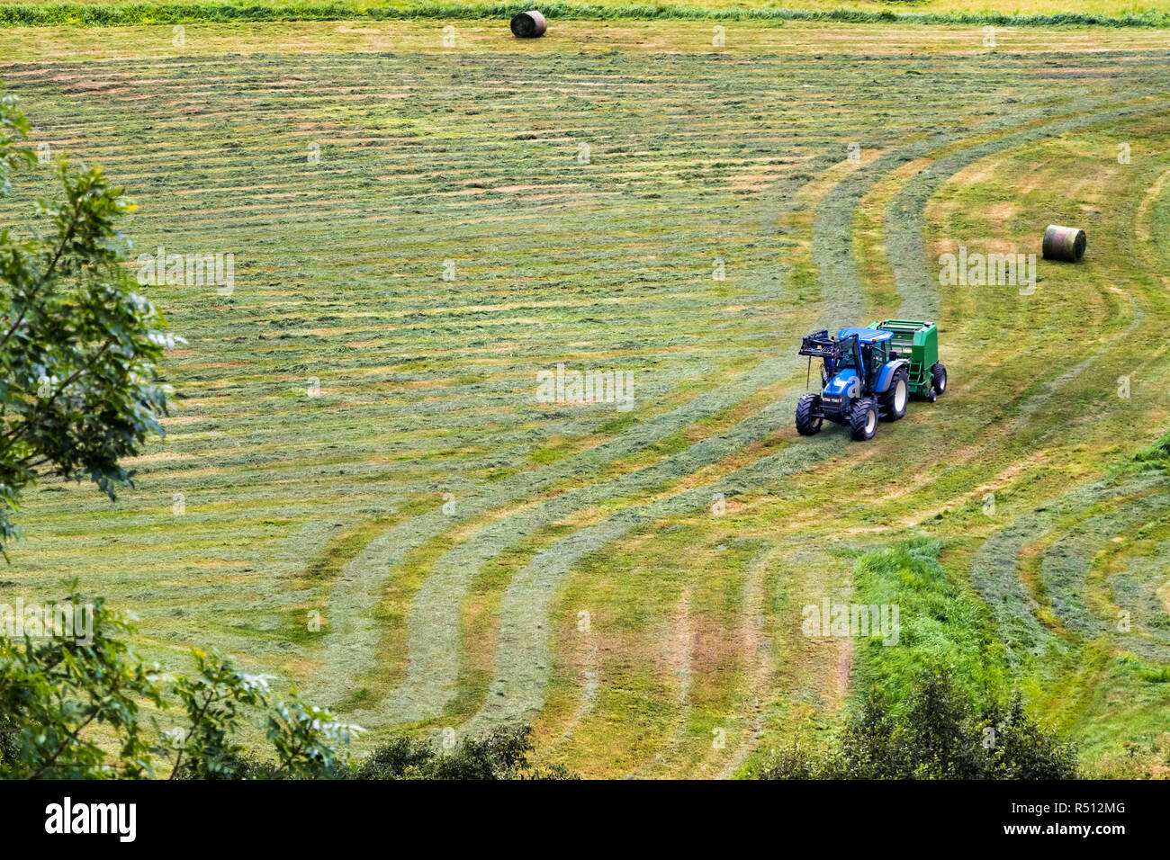 Small tractor with round baler haymaking on a field in Geiranger, Norway. Stock Photo