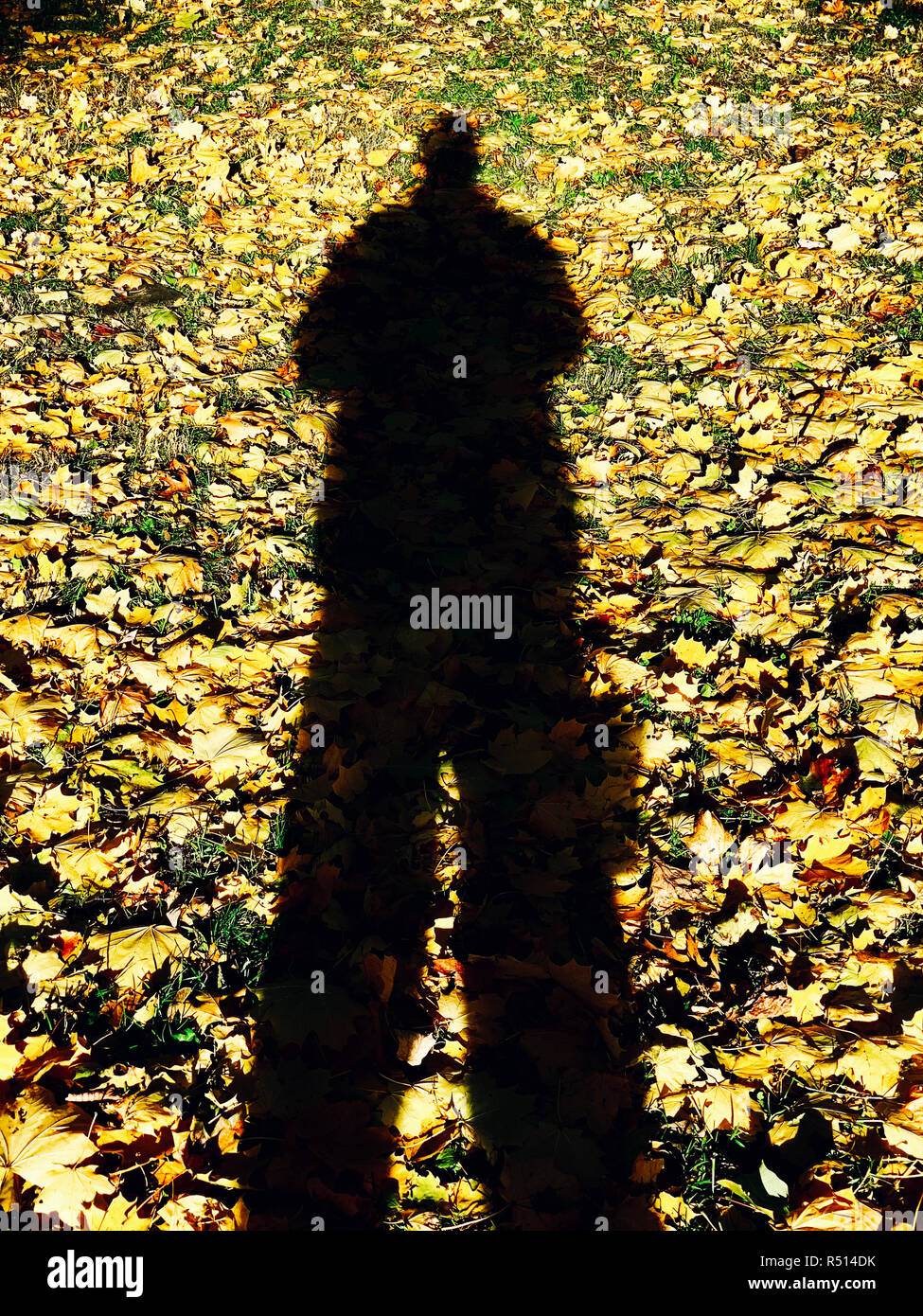 Shadow of a Man Stock Photo Alamy