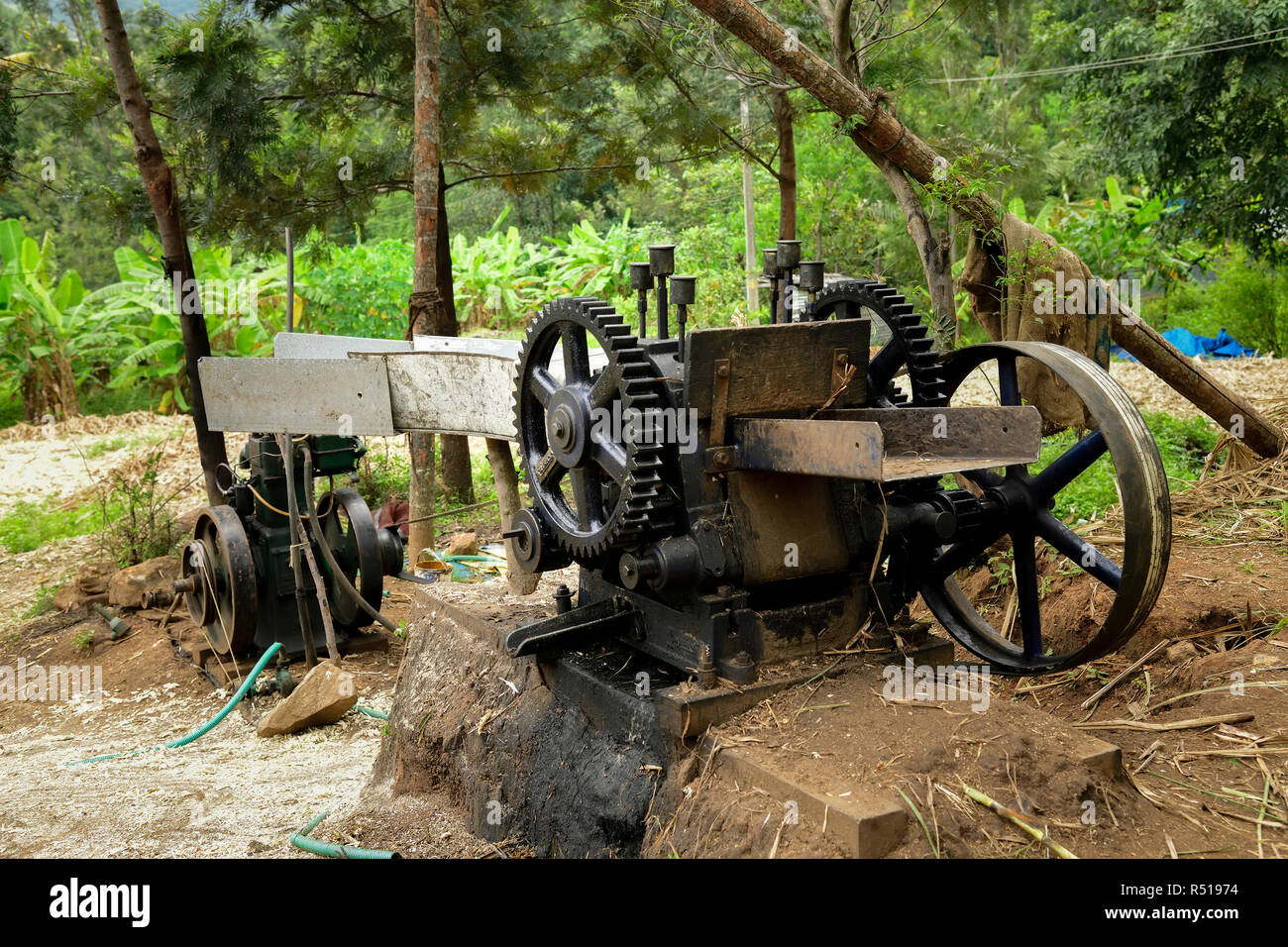 Marayoor near Munnar is popular for marayoor jaggery sweet, Traditional ...