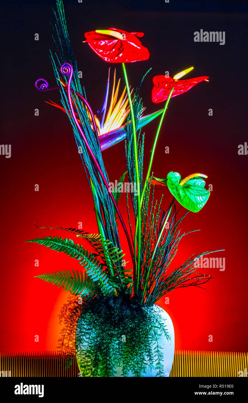 Bird Of Paradise And Anthuriums In Vase Stock Photo
