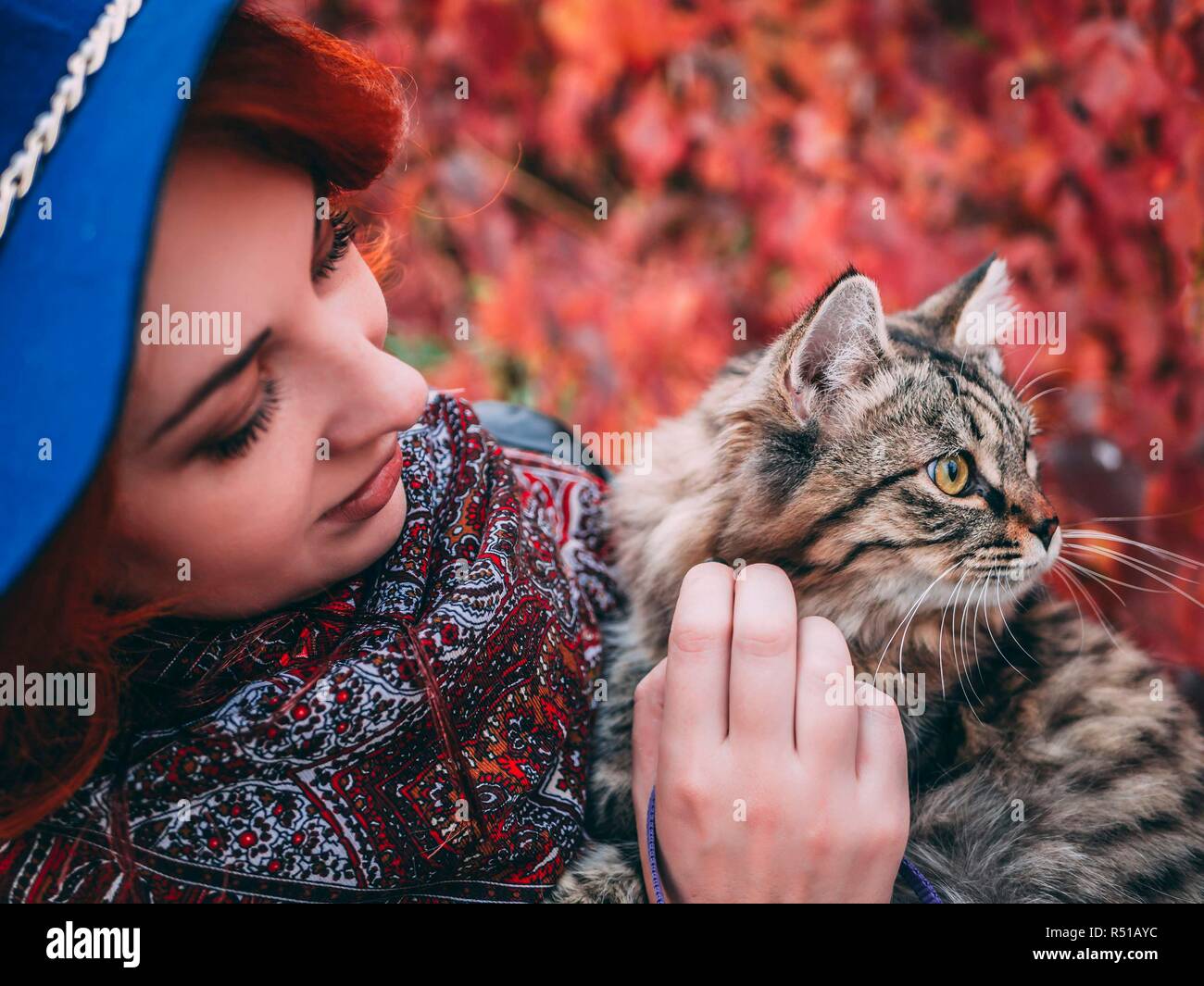 cat in a leather jacket