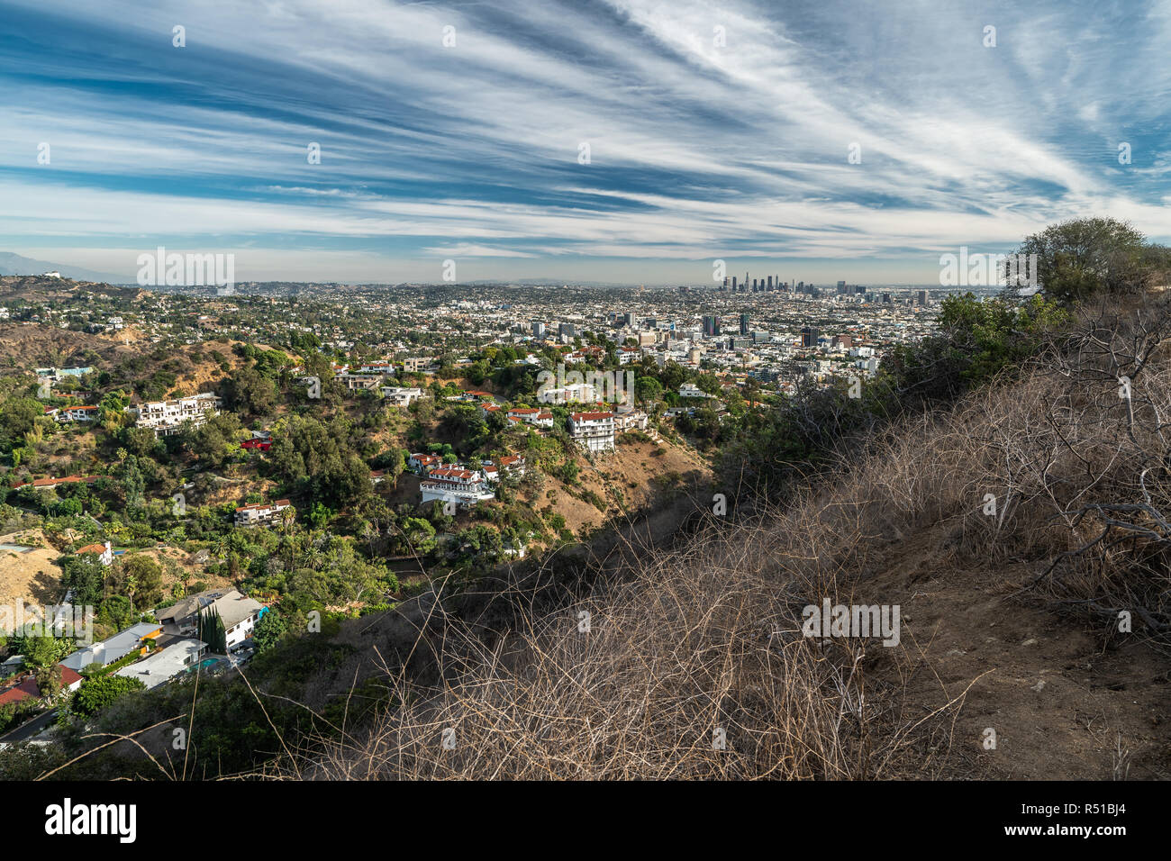 Los Angeles and Hollywood Hills, view from Runyon Canyon Park, Los