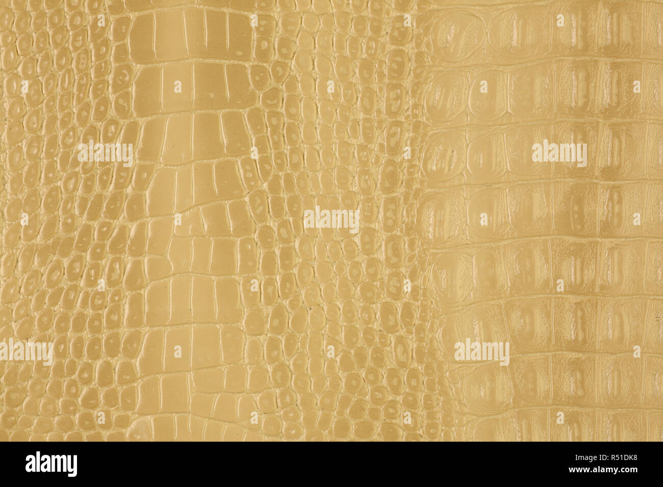 Reptile embossed leather hi-res stock photography and images - Alamy