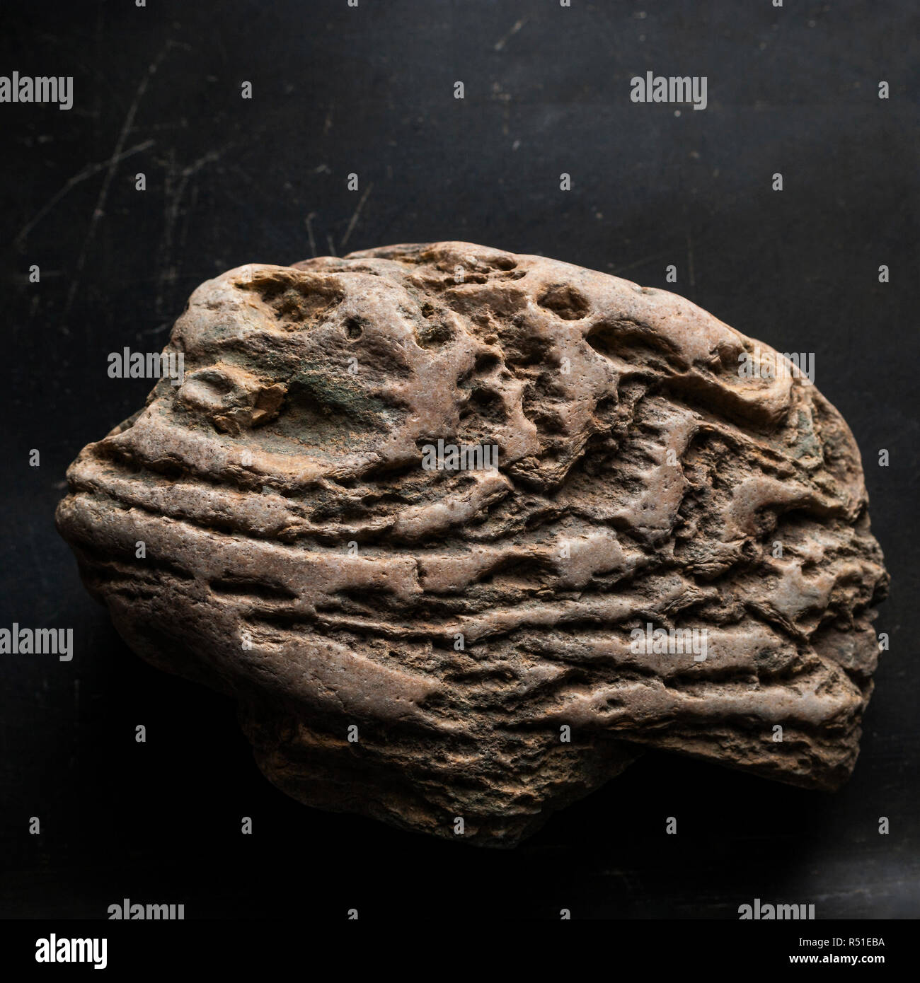 Sceronian Rocks Septarian Rock Stock Photos & Septarian Rock Stock Images - Alamy