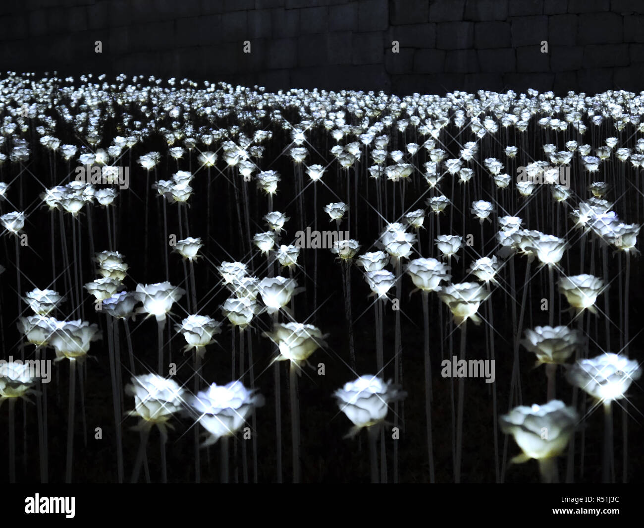 Light flower in the park of Seoul city. South Korea, winter 2017 Stock Photo