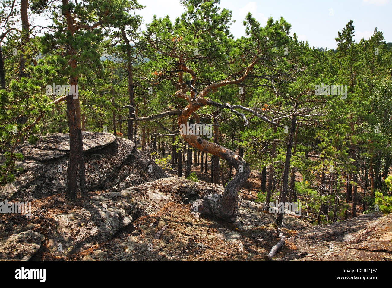 National Park Karkaraly near Karkaralinsk. Karaganda Oblast. Kazakhstan Stock Photo