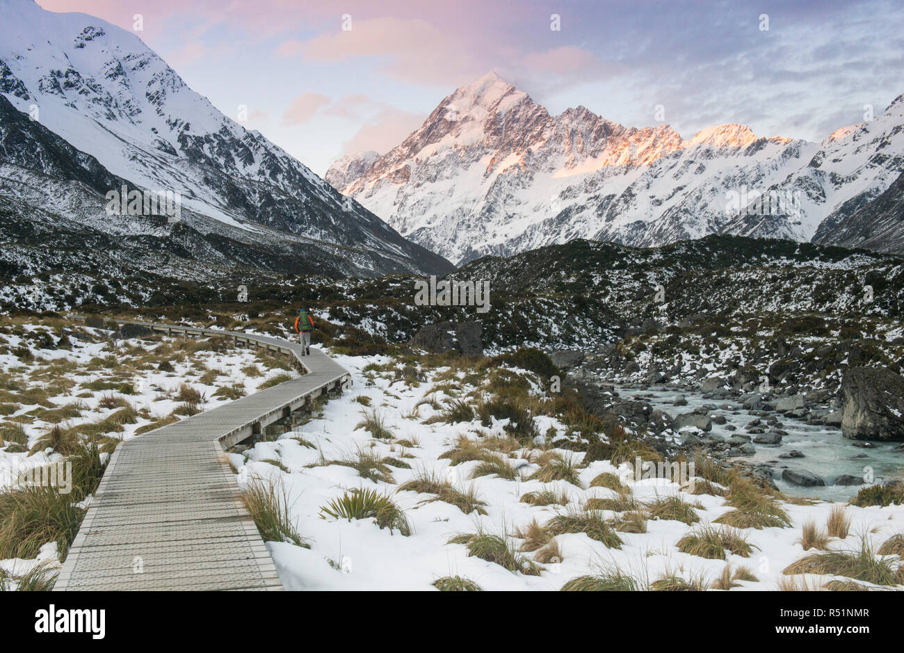Hiker walking on Hooker Valley Timber Trail, Mt Cook Stock Photo
