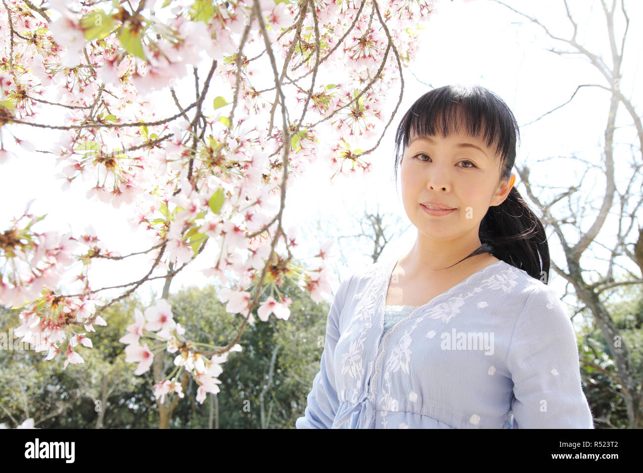 Portrait of young japanese woman with cherry blossom Stock Photo - Alamy
