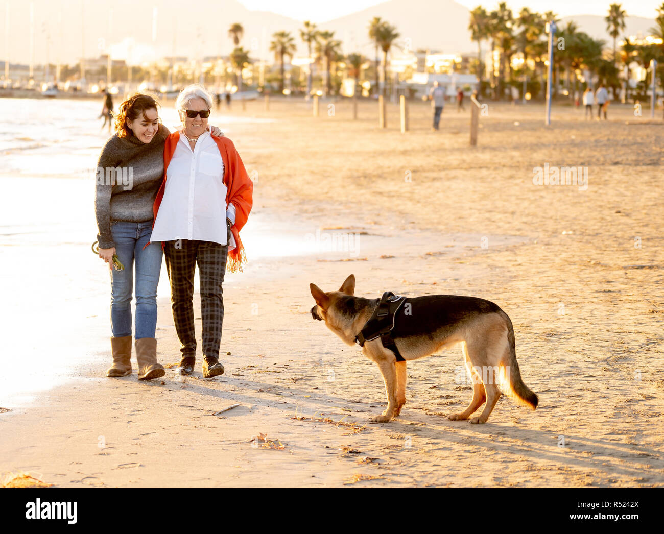 Happy senior mother her adult daughter and german shepard dog spending time together walking on beach at sunset light in Happy family moments Pet anim Stock Photo