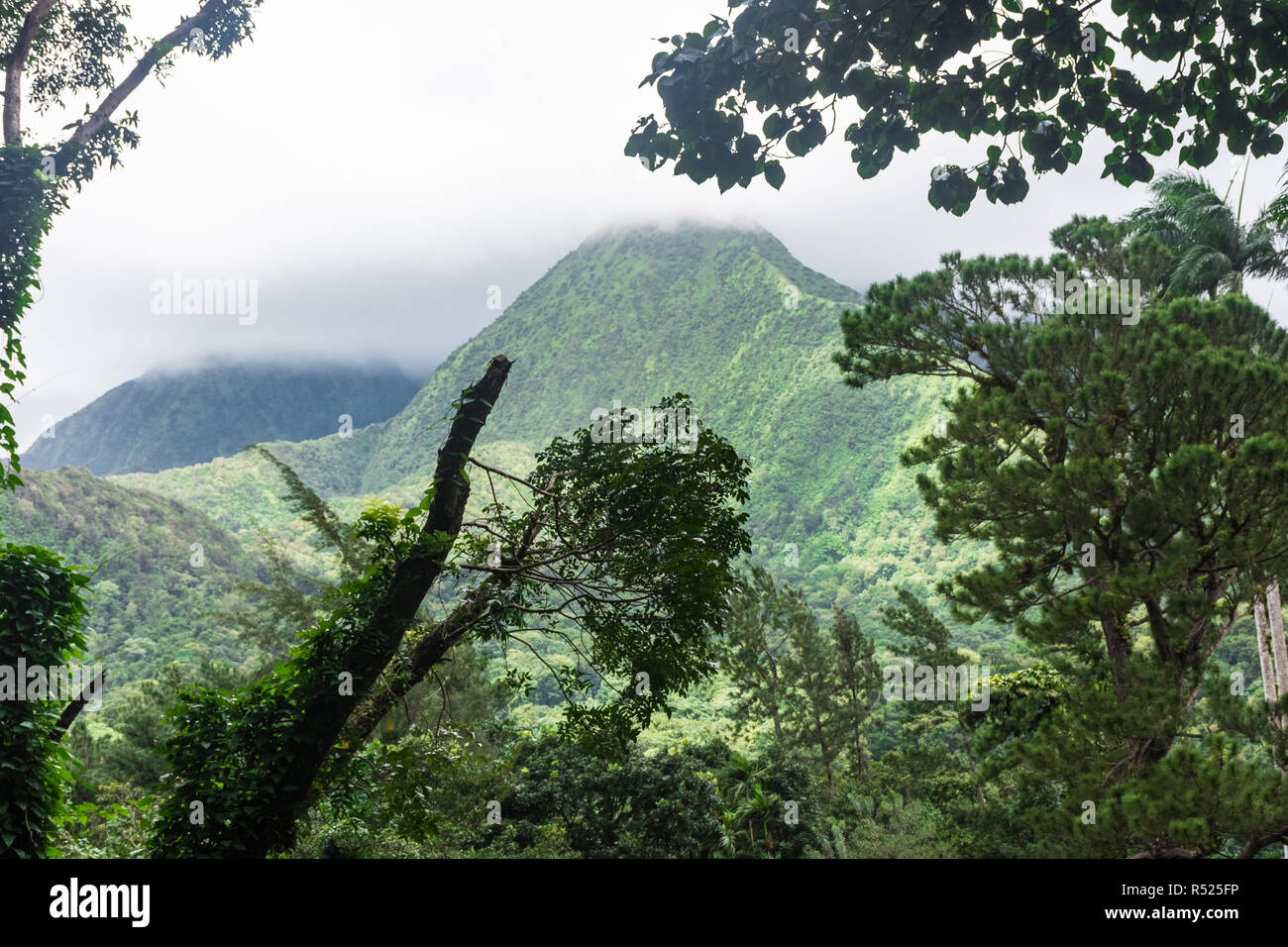 The pelee volcano hires stock photography and images Alamy