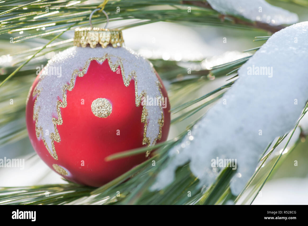 Winter Holiday Decoration Concept Christmas Tree Ball And Frozen