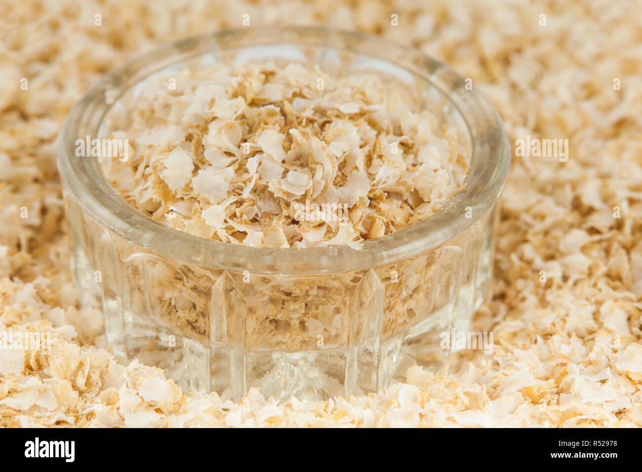 Quinoa flakes (Chenopodium quinoa Stock Photo Alamy