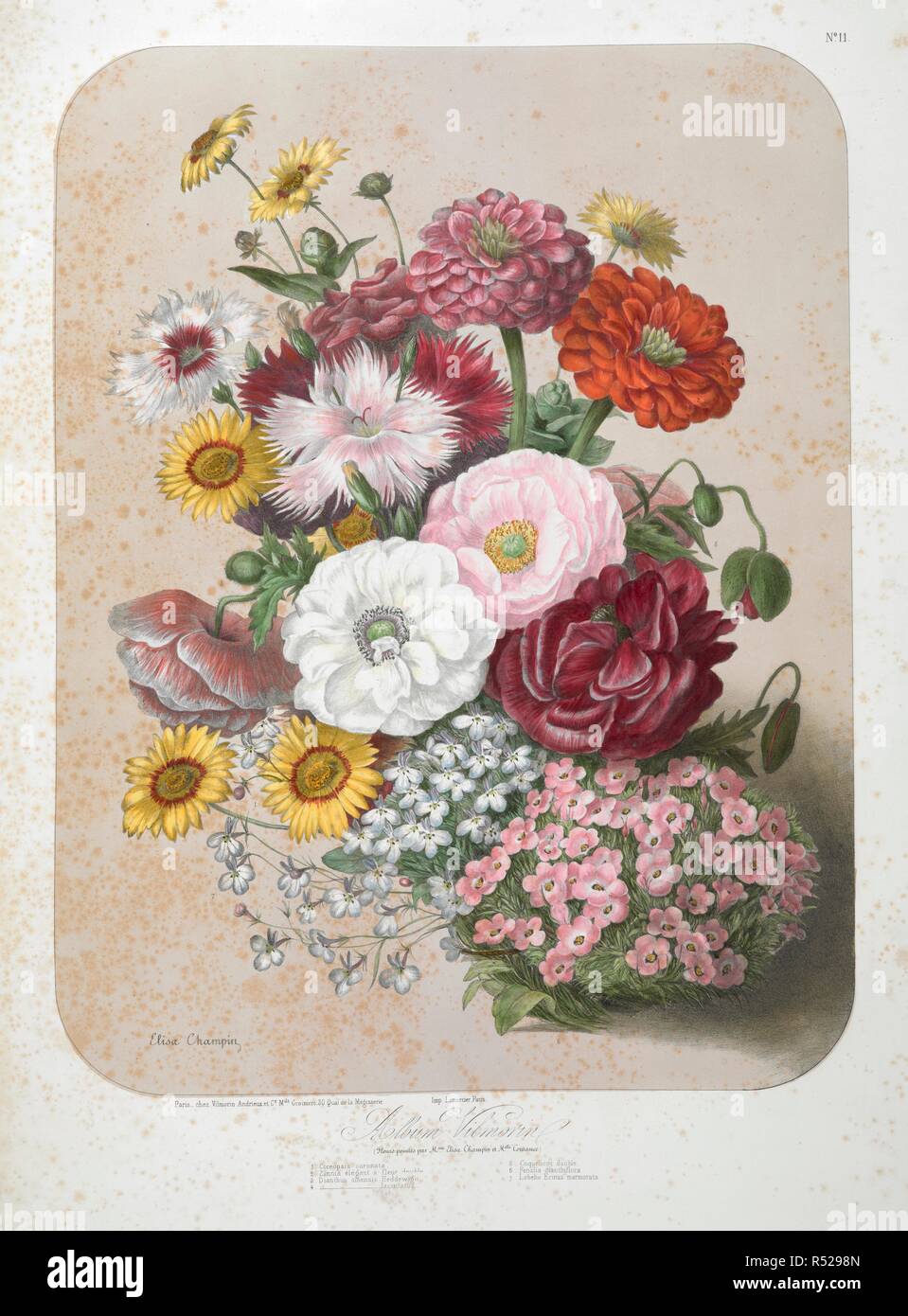 Champin High Resolution Stock Photography And Images Alamy