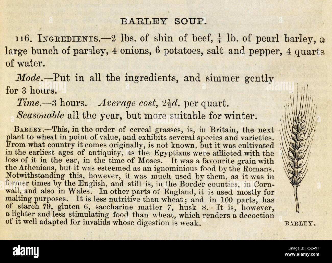 Recipe for barley soup. The Book of Household Management, etc. [With plates and illustrations.]. London : S. O. Beeton, 1861. Source: C.194.a.507 p.61. Author: BEETON, ISABELLA MARY. ANON. Stock Photo