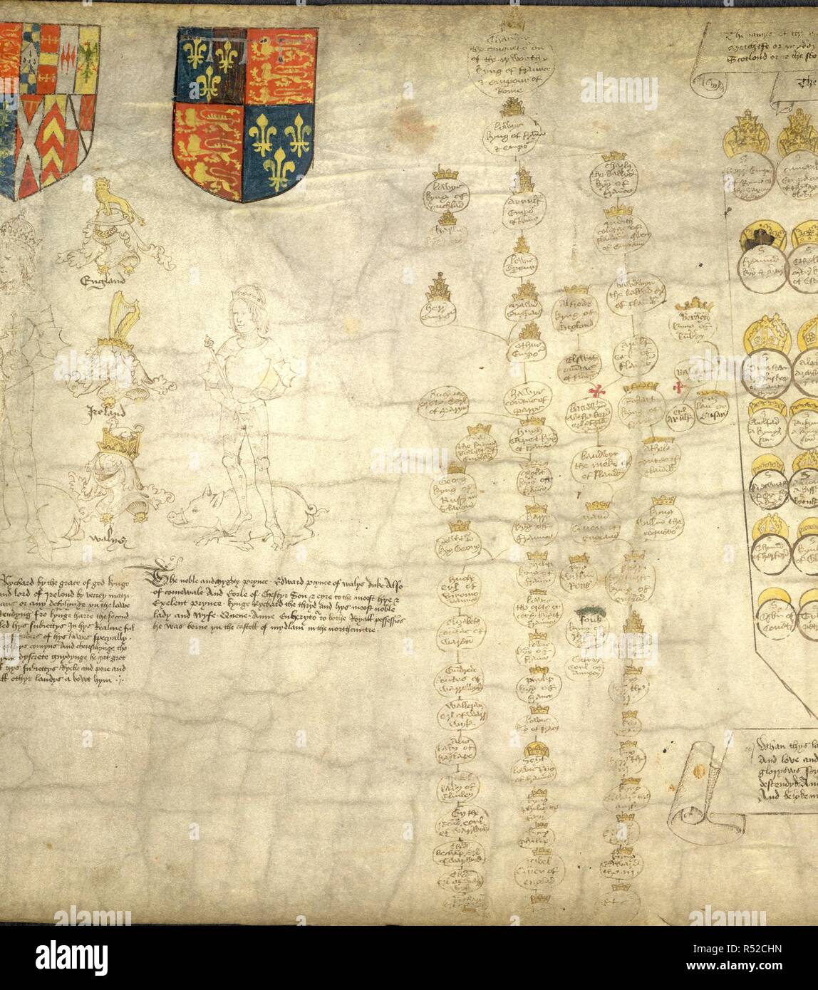 (Main figure) Edward, Prince of Wales, son of Richard III, holding a sceptre, and wearing a crown. He is standing on his father's cognizance of the white boar. Above him, a shield bearing the arms of France and England. (On the right) A partial family tree. . The Rous Roll. Illustrated armorial roll-chronicle by John Rous. England [Warwick]; 1483-1485. Some of the text in the caption is from the original manuscript. Source: Add. 48976 f.66 fig.64. Stock Photo