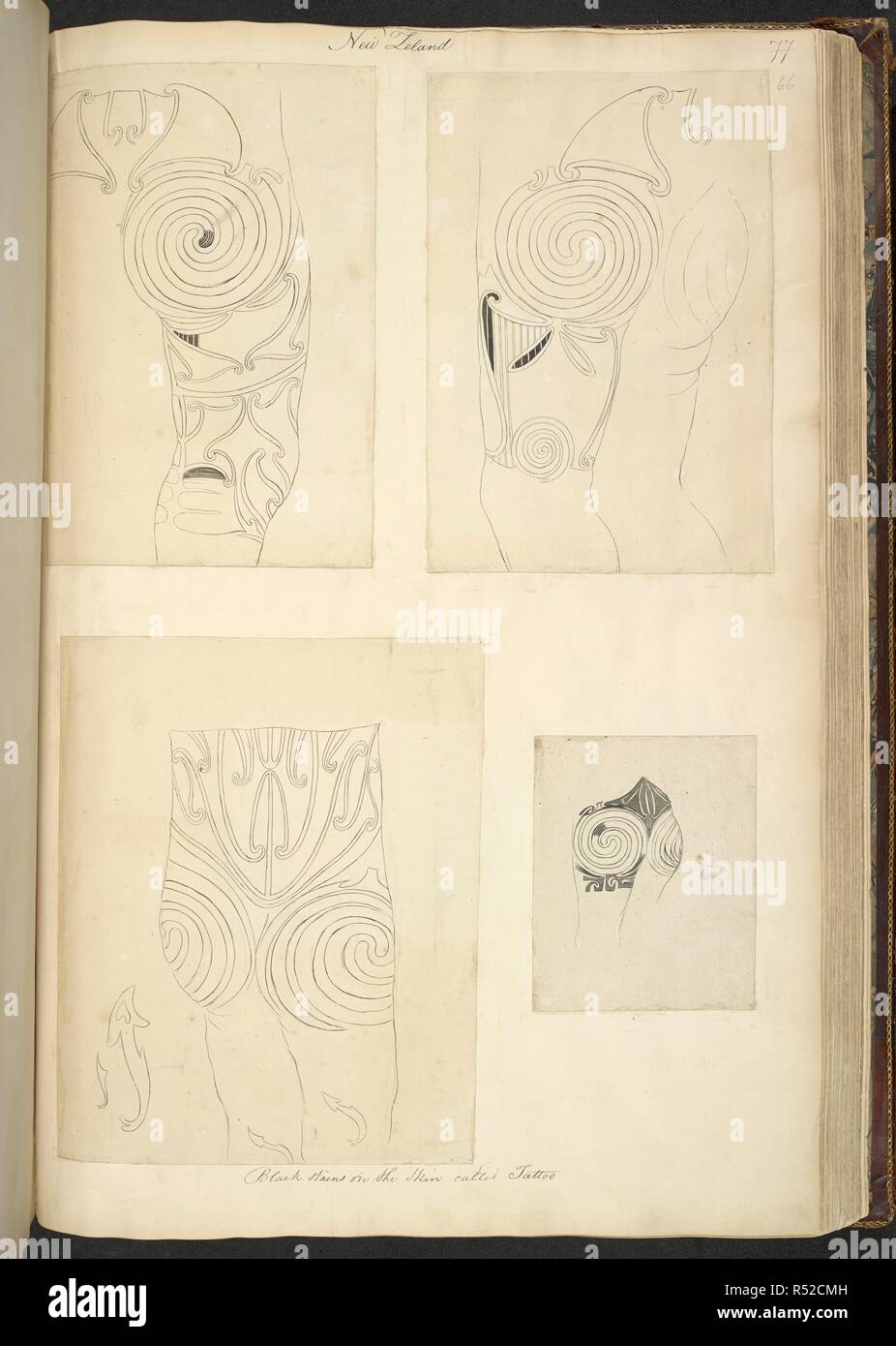 Four drawings of tattoos; from studies made of tattoos on the buttocks of some Maoris who visited the Endeavour off Cape Brett, New Zealand, on 26th November 1769. A Collection of Drawings made in the Countries visited by Captain Cook in his First Voyage. 1768-1771. 1769. Source: Add. 23920, f.66. Language: English. Author: PARKINSON, SYDNEY. Stock Photo