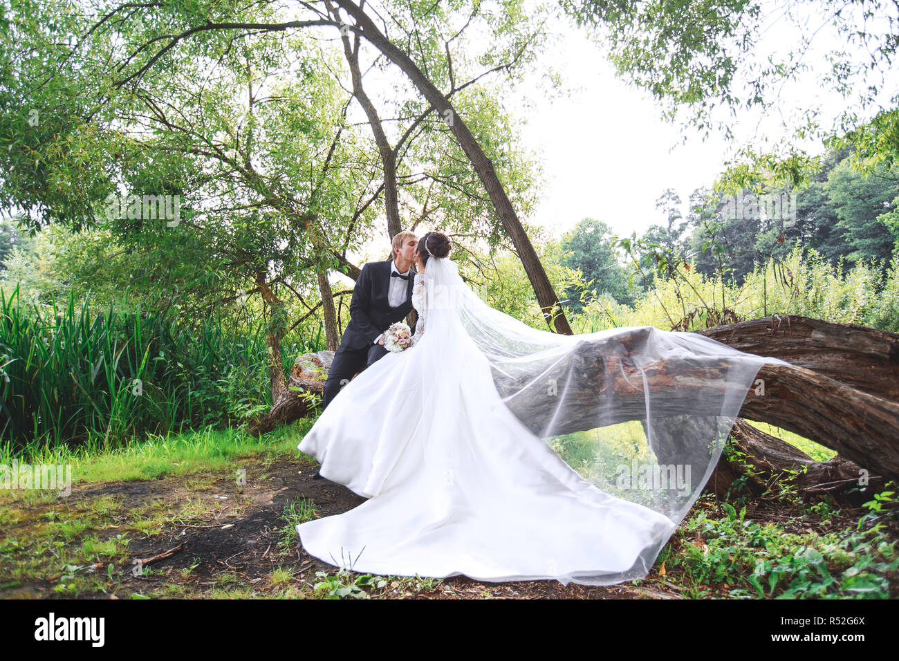 Wedding couple kiss other hi-res stock photography and images - Alamy